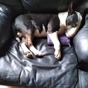 Meet your Posher, Beth